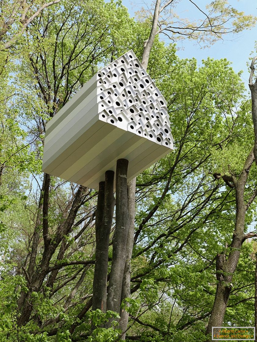 Cabaña en un árbol para pájaros y personas (Япония)