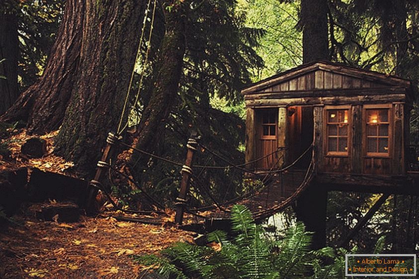 Treehouse en Seattle (Seattle, Estados Unidos)
