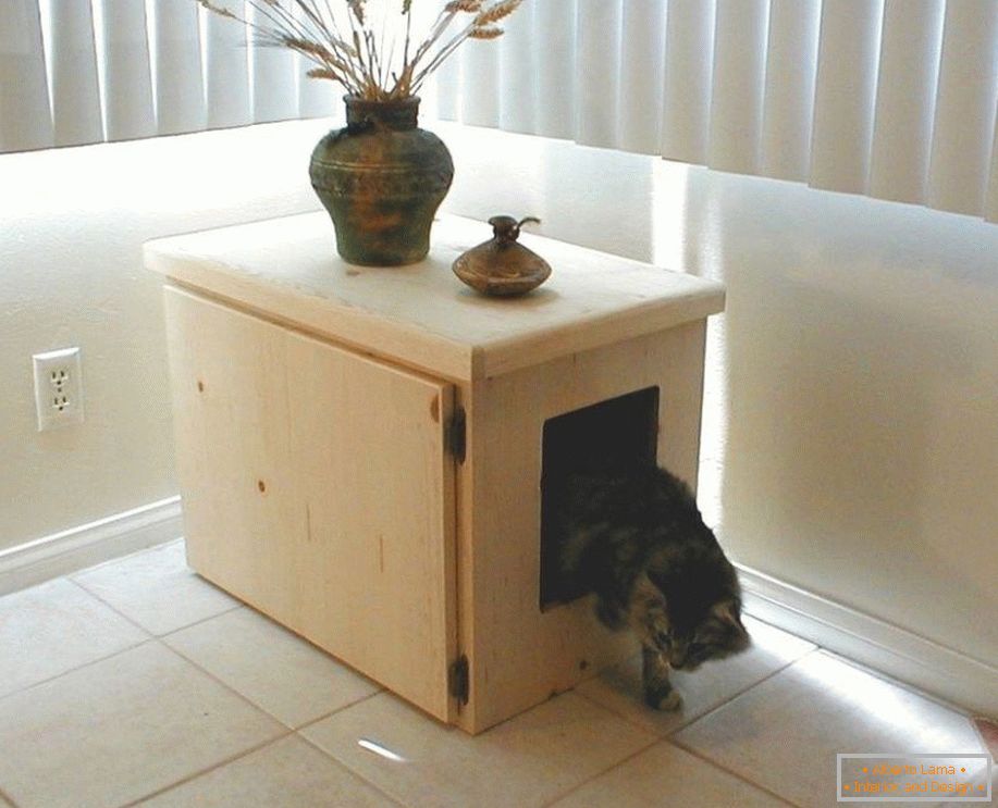 Casa del gato de cajas
