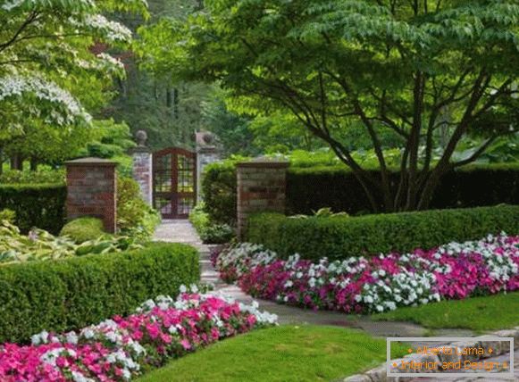 Flores en el patio de una casa privada - las mejores ideas modernas 2017
