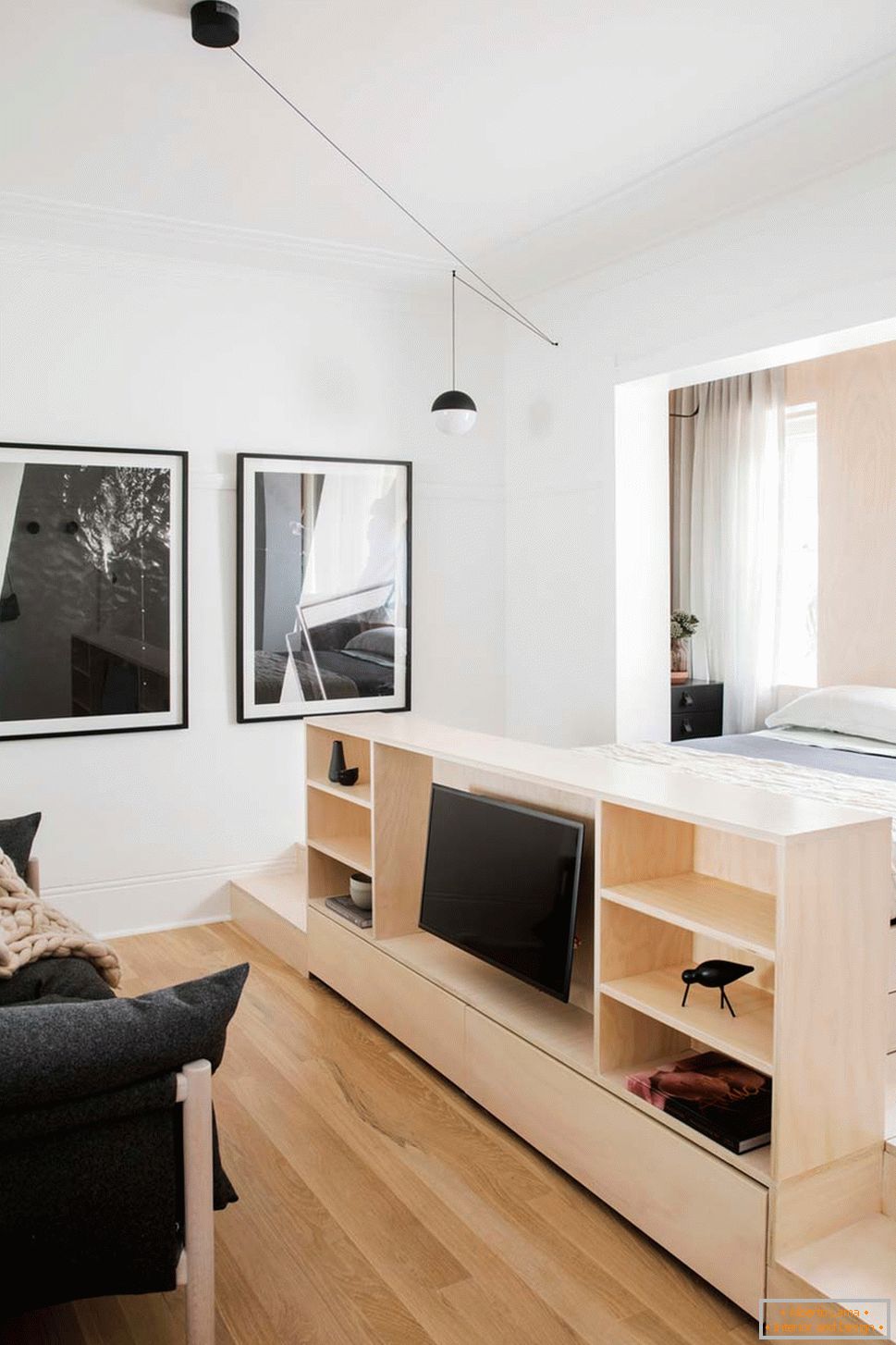 Diseño interior de un pequeño apartamento en Sydney - телевизор