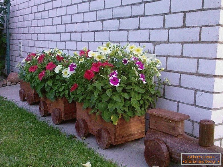 Petunias en un tren de madera