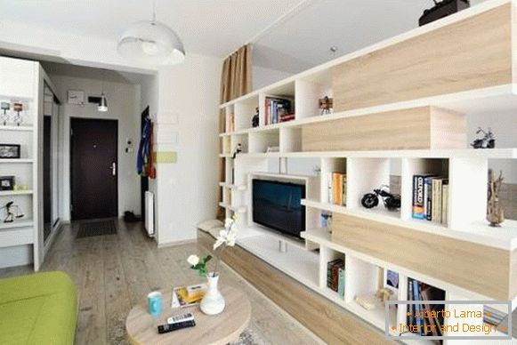 estudio apartamento-40-sq. m-prihozhaya-foto