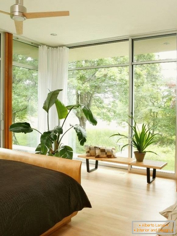 Grandes ventanales y plantas en macetas en el dormitorio