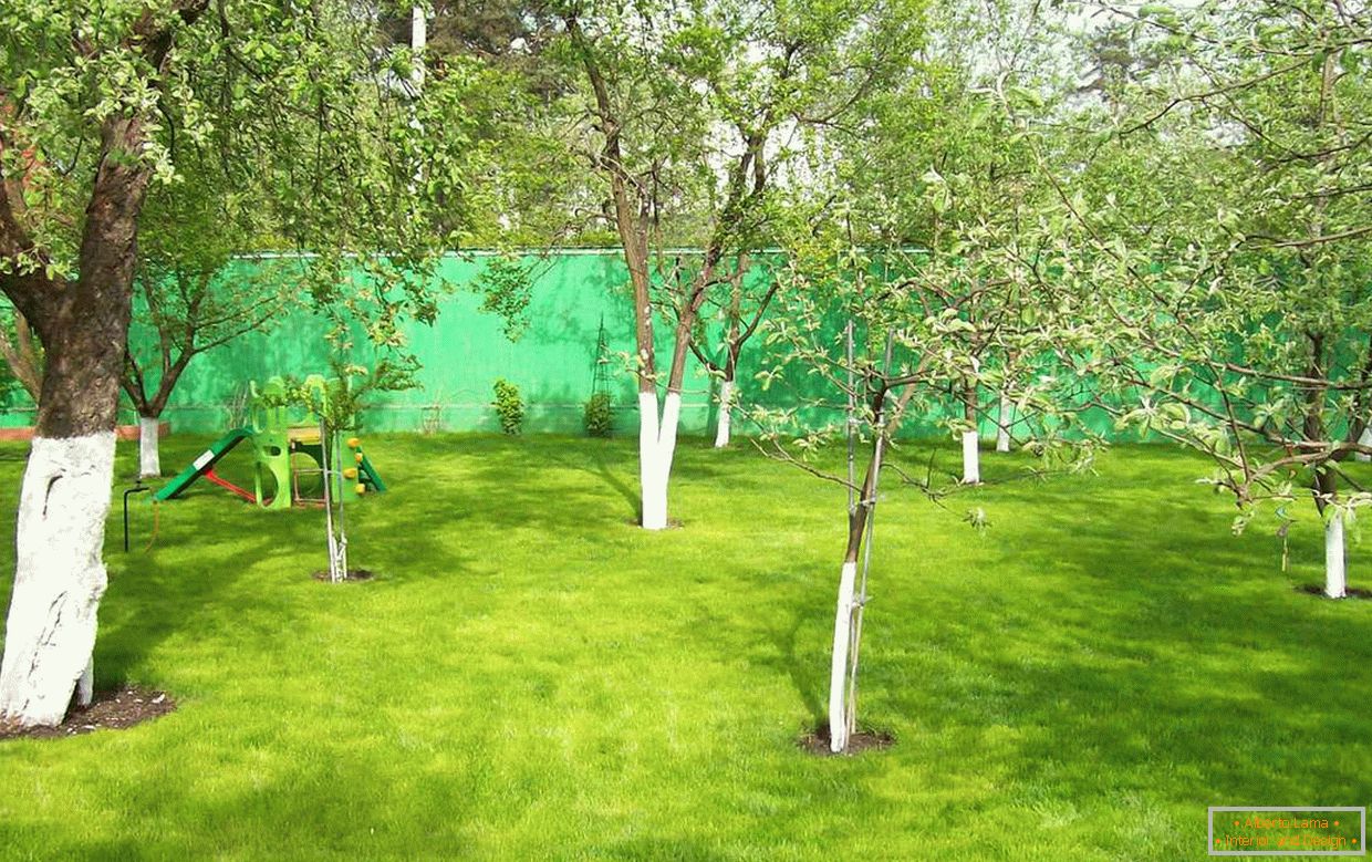 Jardín en la parcela de 12 hectáreas