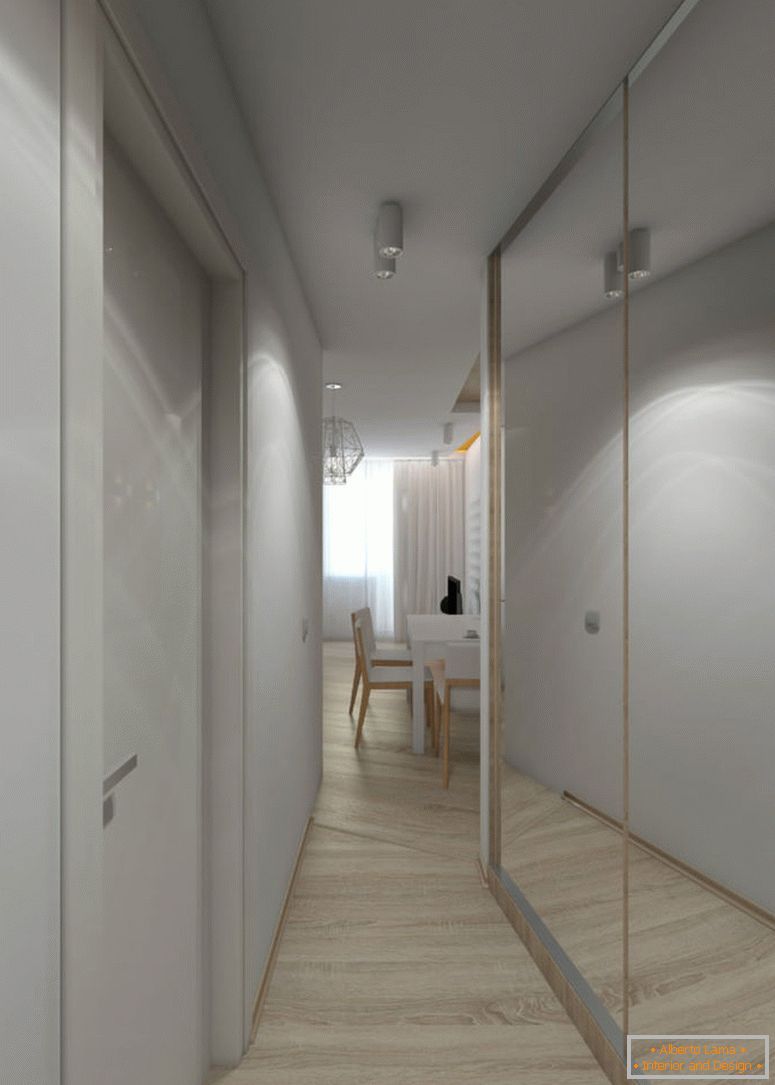 El diseño del apartamento estrecho