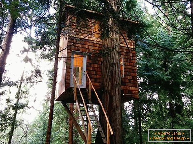 Una casa en un árbol con una escalera. Foto 1