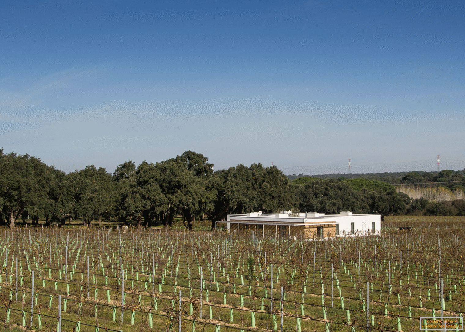 Ecohouse entre el viñedo