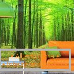 Sofá naranja sobre un fondo verde bosque