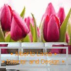 Capullos de tulipanes