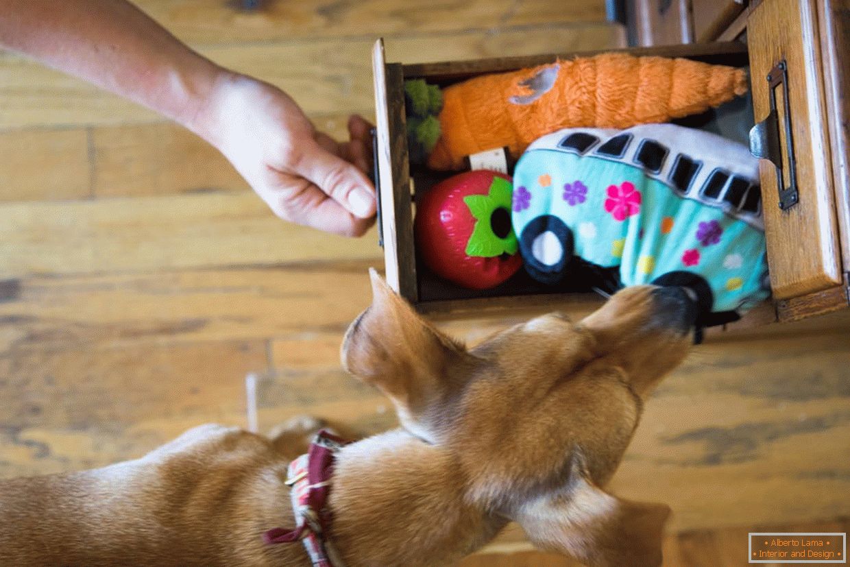 Caja con juguetes para perros