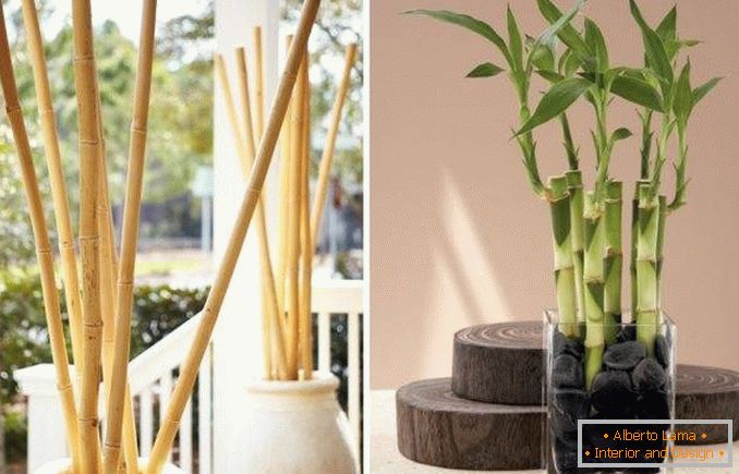 Bambú como decoración