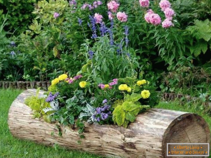 El lecho de flores está plantado en un tronco viejo. 