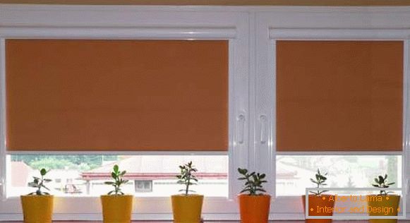 cortinas enrollables para ventanas de plástico, foto 28