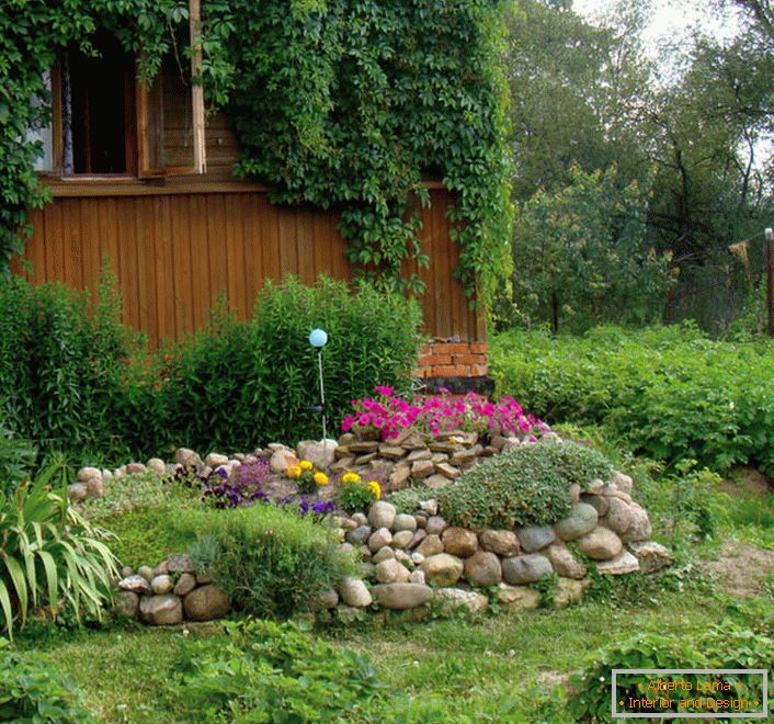 Cama de flores de plantas perennes в саду 