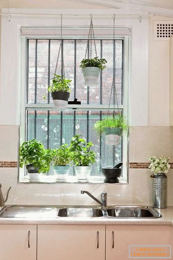 plantas en el interior de la cocina, foto 34