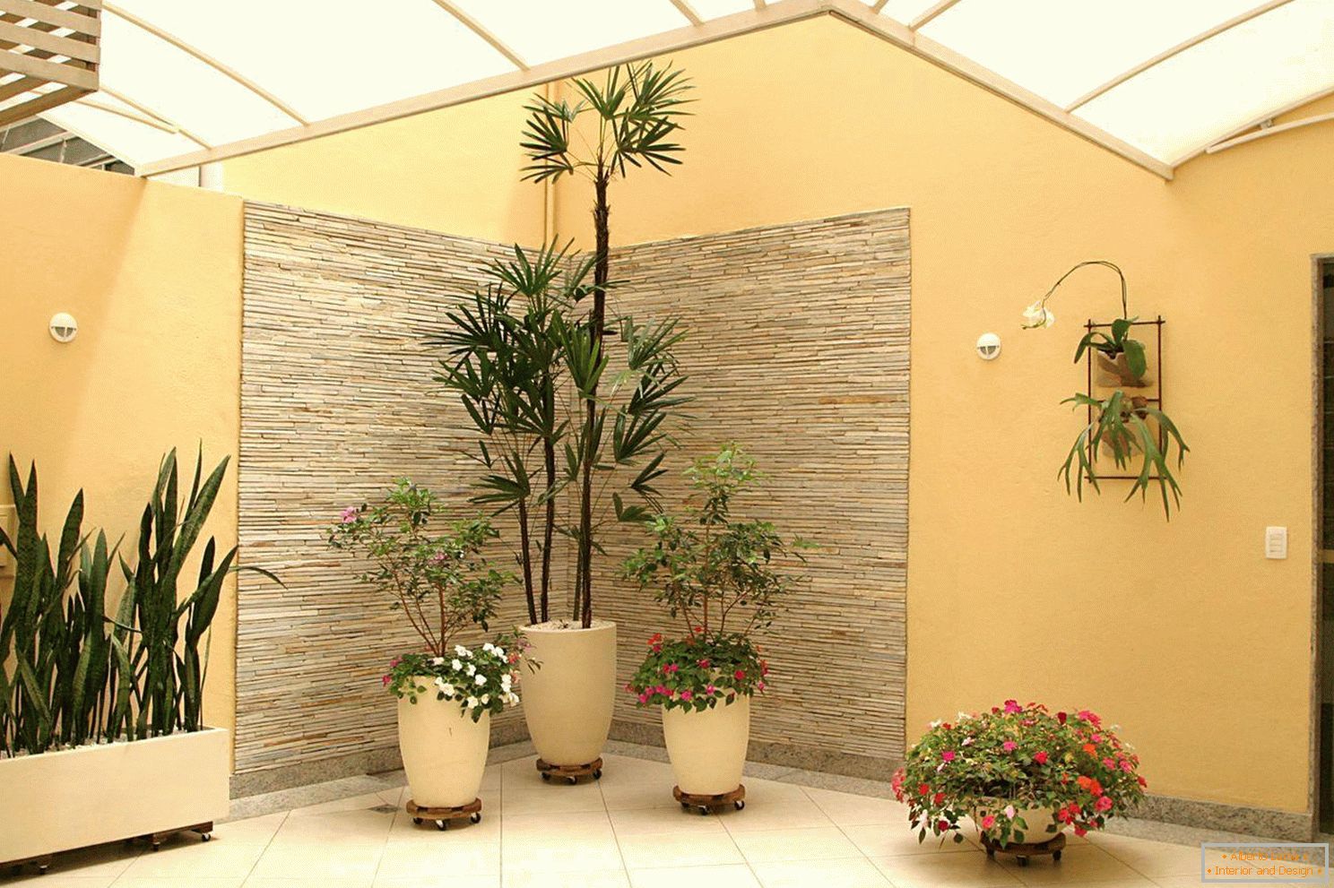 Plantas de interior en el pasillo