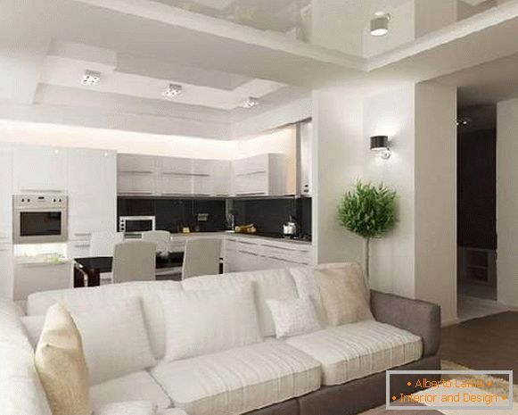 Zoning kitchen living room 20 sq. M foto, foto 12