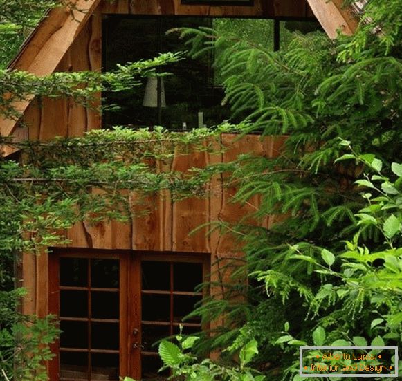 Pequeña casa forestal (foto), США