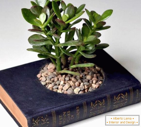 Maceta de plantas del libro