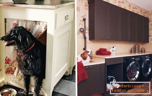 Lugar para el perro en el armario de la cocina