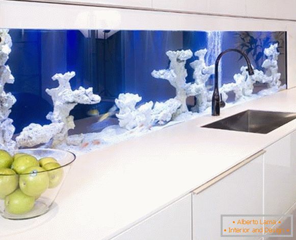 Un acuario con corales en la cocina