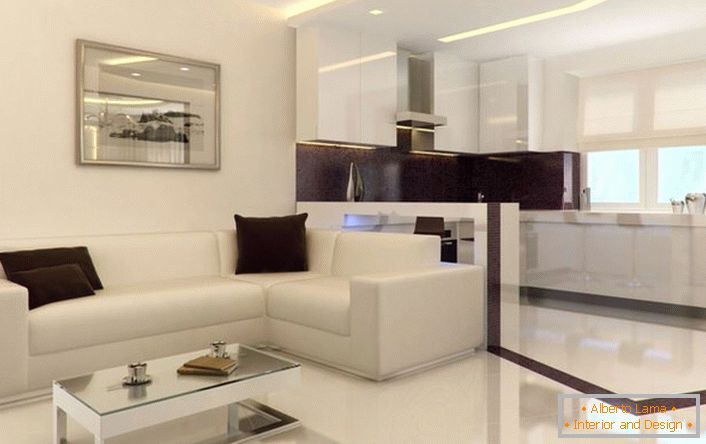 El apartamento tipo estudio en el estilo del minimalismo es amplio y luminoso. Los elementos decorativos superfluos del interior no sobrecargan el interior.