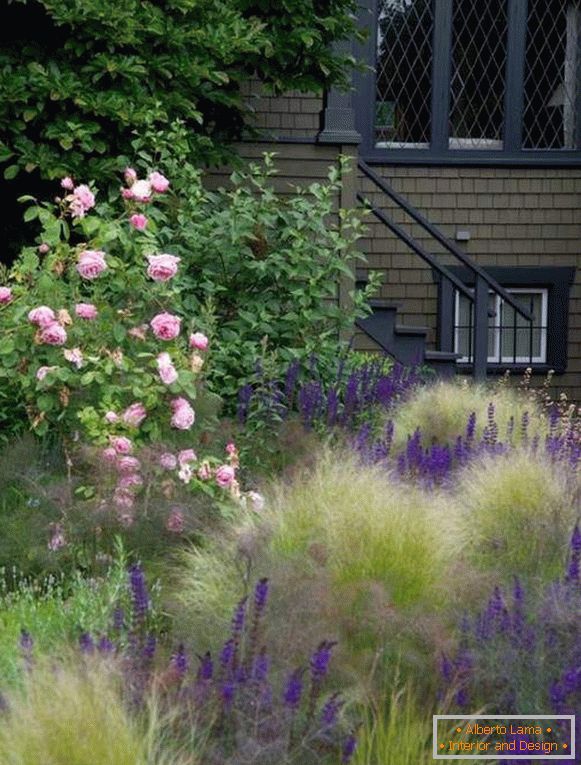 Diseño de jardín con sus propias manos - plantas altas y arbustos