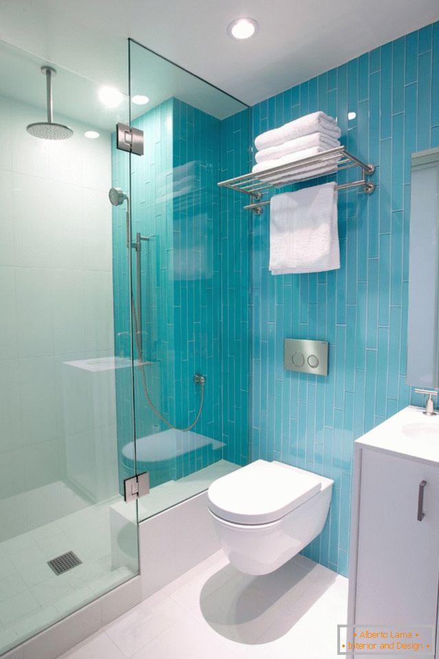 Interior del baño combinado con el inodoro