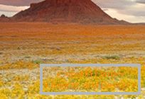 Desiertos en Utah, explotados en colores