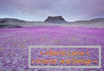 Desiertos en Utah, explotados en colores