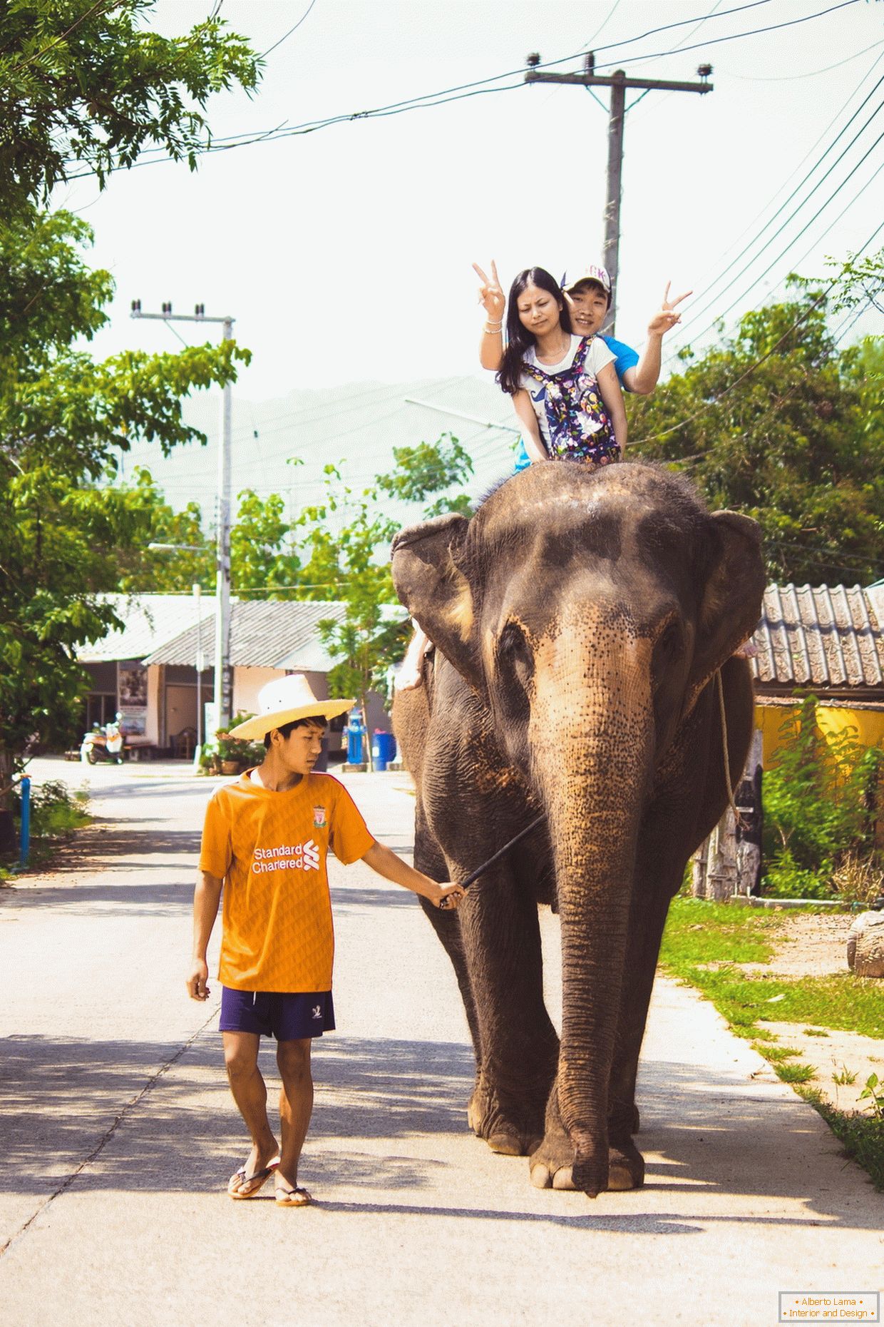 Viajando en un elefante