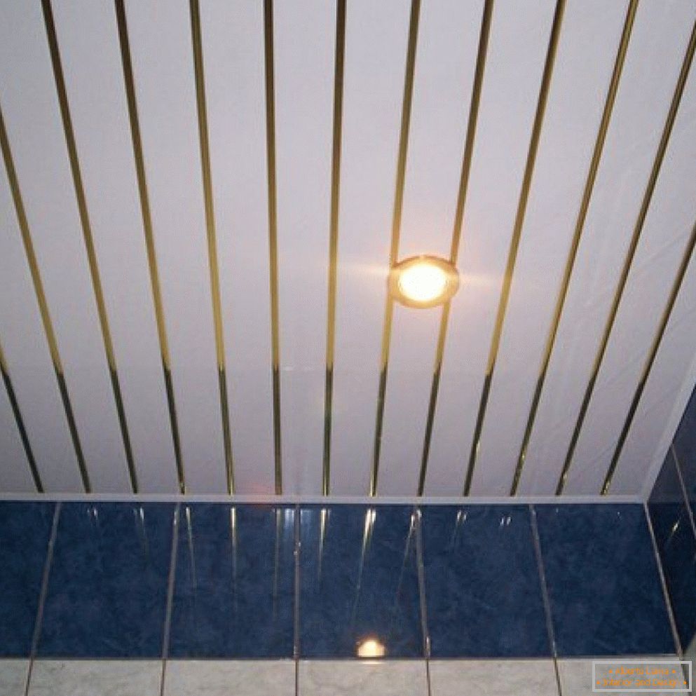 Baño con techo de PVC