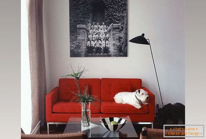 Estricto sofá rojo y sillas de mimbre en la sala de estar
