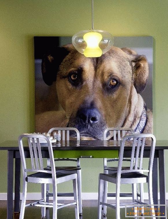 Foto del perro como decoración de la pared