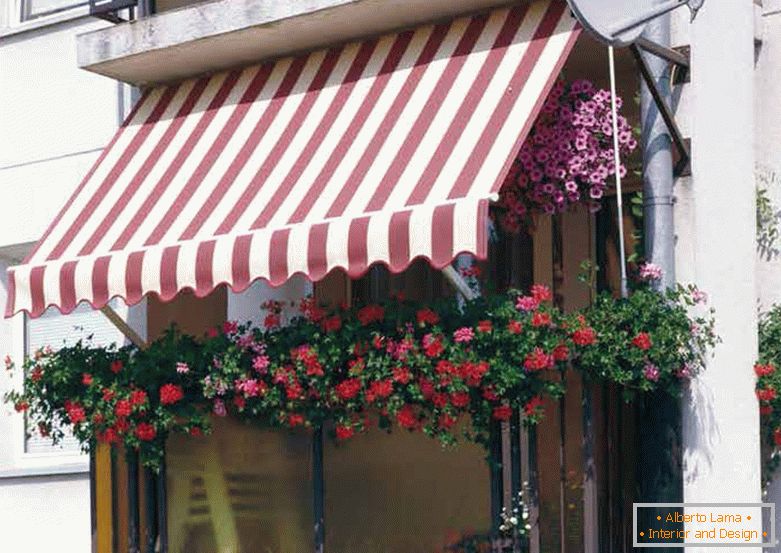 Toldos de fachada estacionarios para pequeños balcones. Tal milagro es posible en la orilla del cálido mar. La anfitriona de las flores es excelente, un vívido ejemplo de imitación.