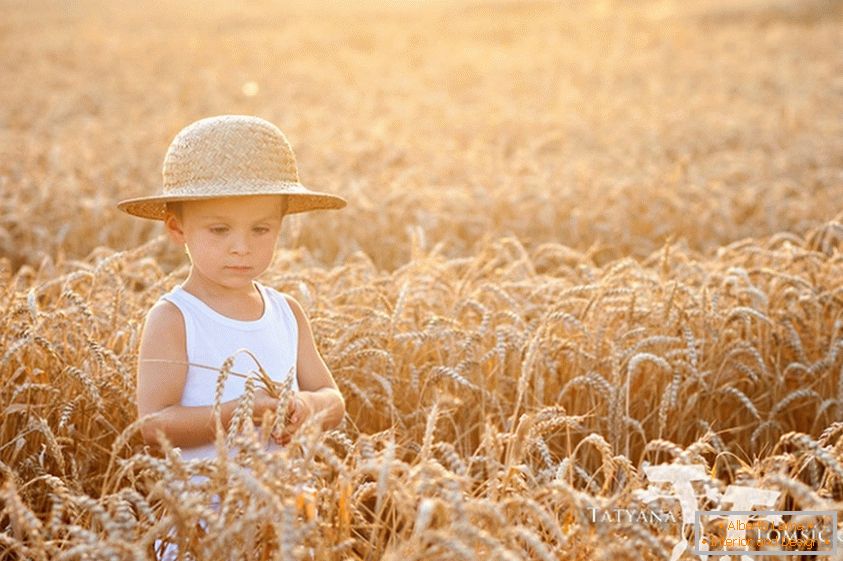 Un niño en un campo de trigo