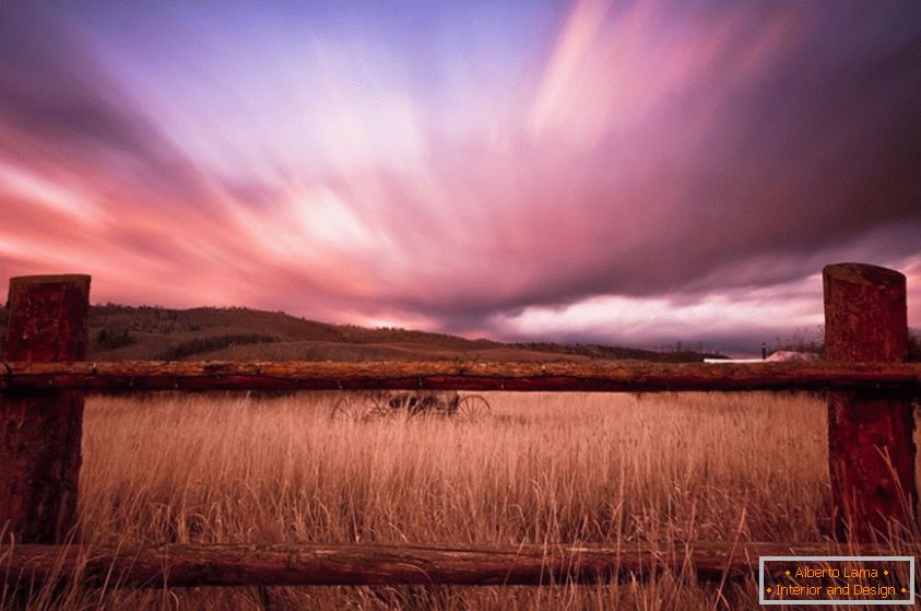 Hermosas nubes carmesís sobre el campo de trigo