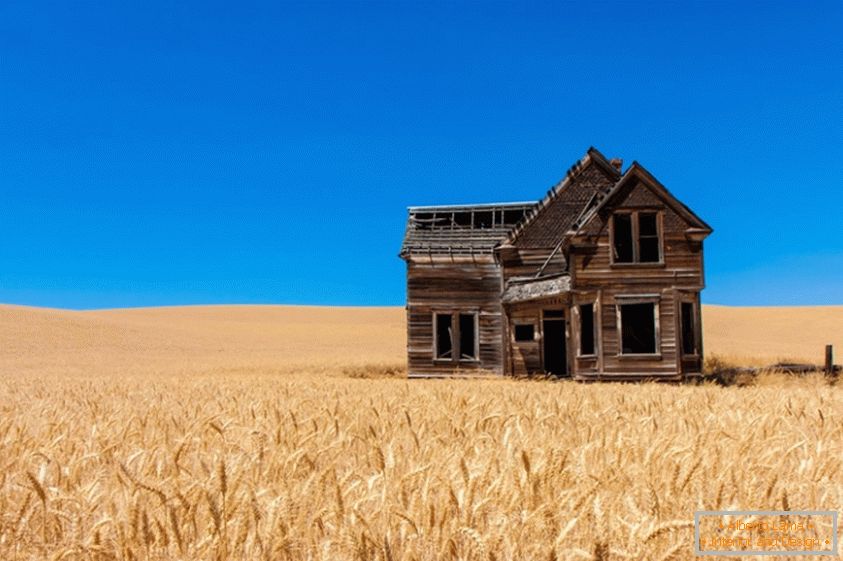 Casa vieja en un campo de trigo