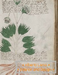 Misterioso manuscrito de Voynich