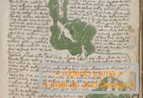 Misterioso manuscrito de Voynich