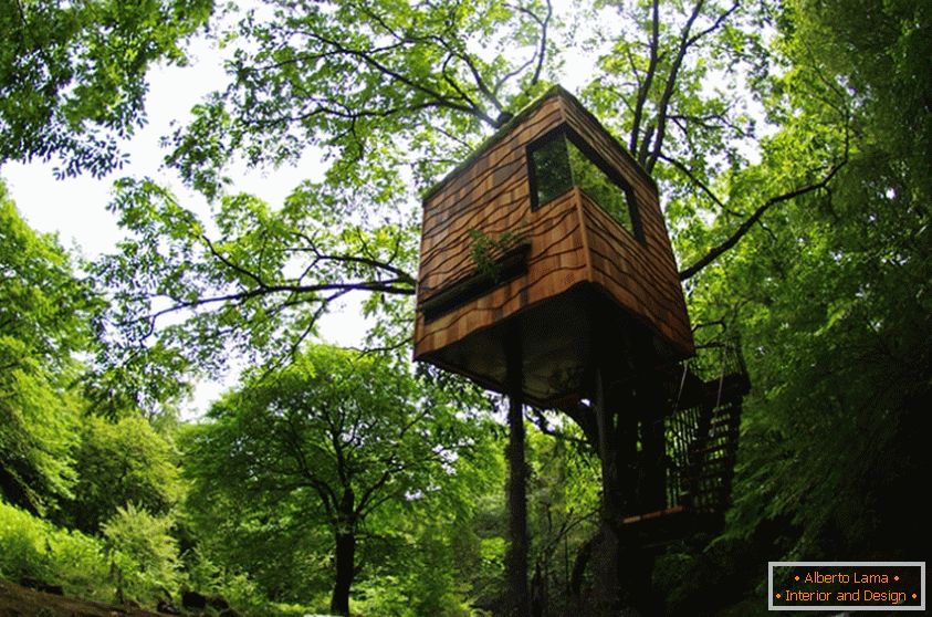 Treehouse por Takashi Kobayashi (Япония)