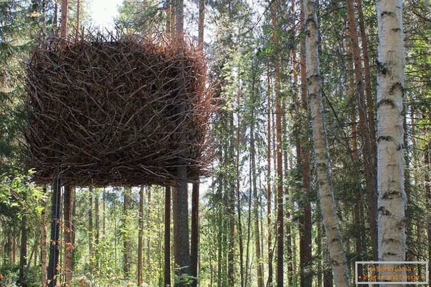La casa del árbol del nido de pájaro (Швеция)