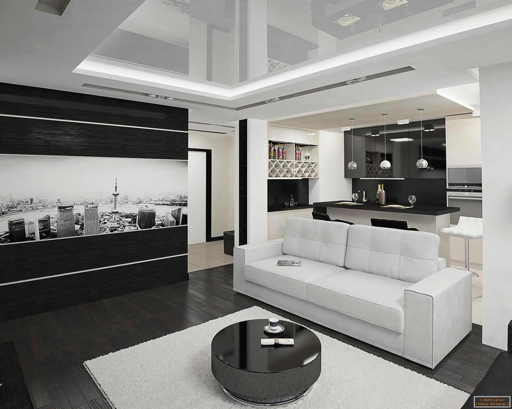 Interior blanco y negro de la cocina y de la sala de estar en 20 metros cuadrados
