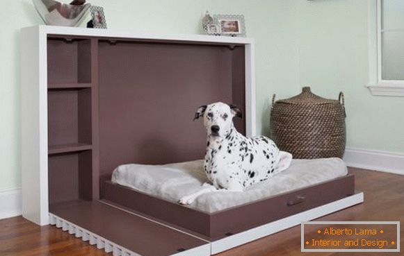 Cama plegable para un perro