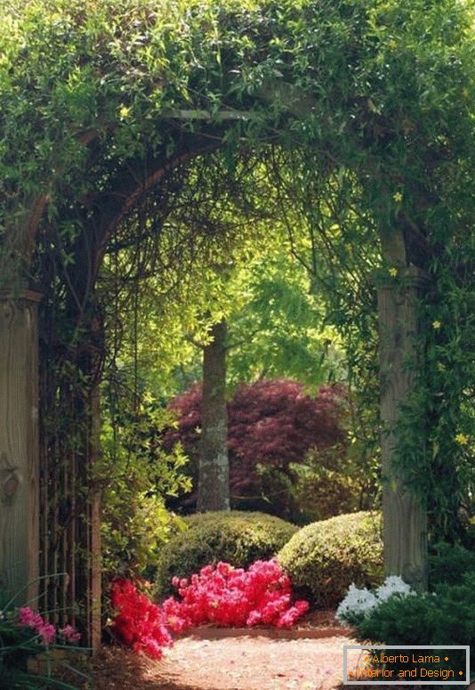 Arco con plantas en el diseño del jardín