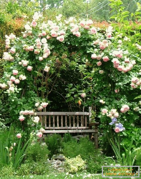 Un lugar apartado para relajarse en el jardín