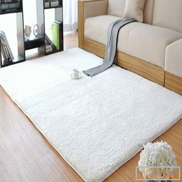 alfombra blanca, foto 10