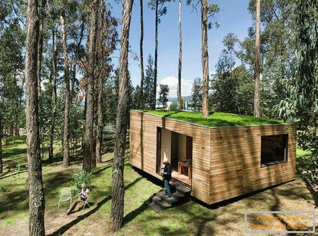 Pequeña casa en el bosque con techo de musgo
