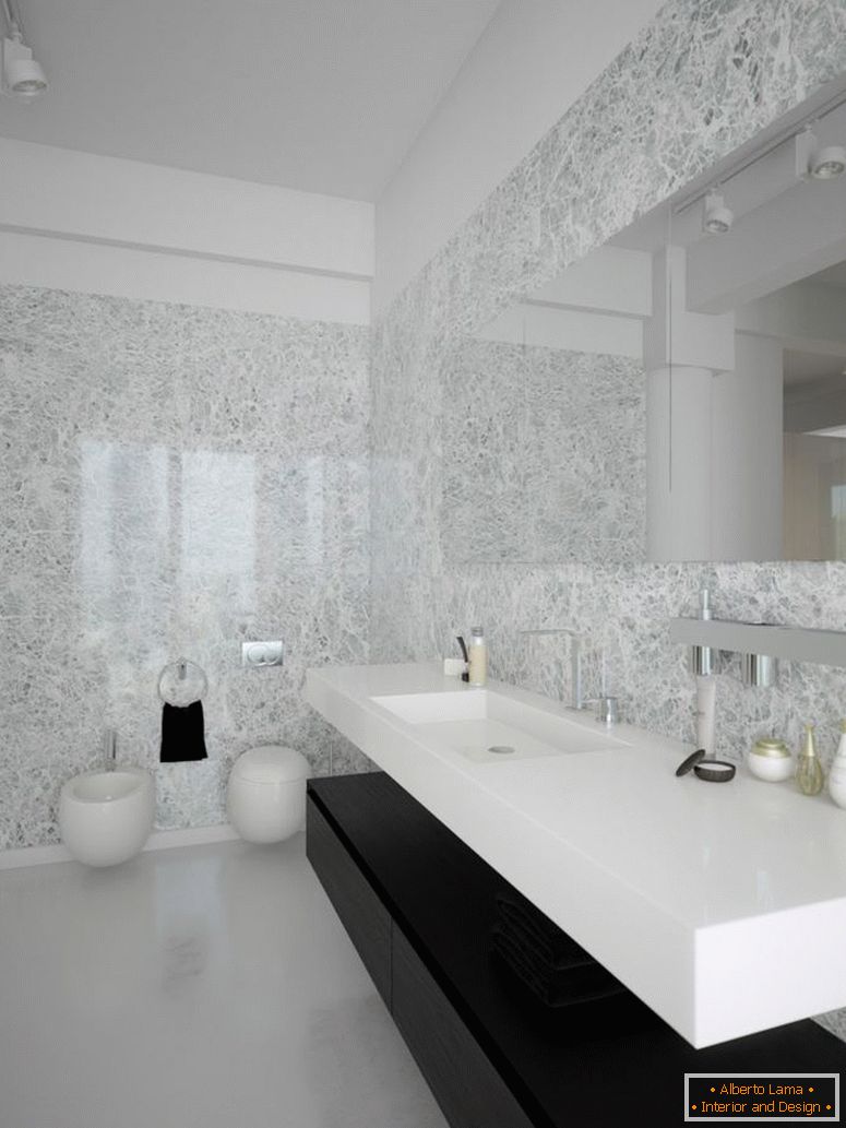 black-white-contemporary-bañeraroom-design